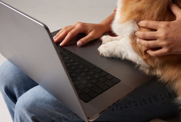 online purchase insurance