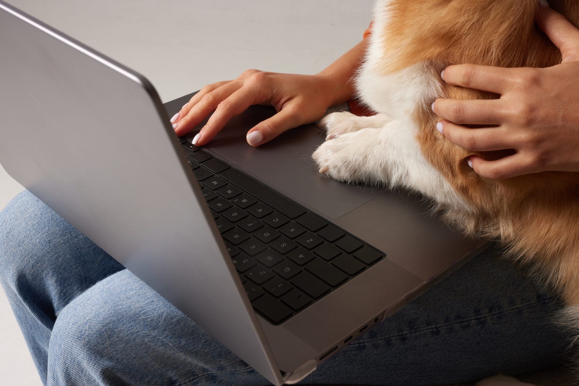 online purchase insurance